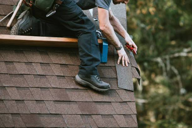 Best Metal Roofing Contractor  in Country Homes, WA